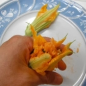 花ズッキーニのフリッター 彡 花ズッキーニのフリッター 彡